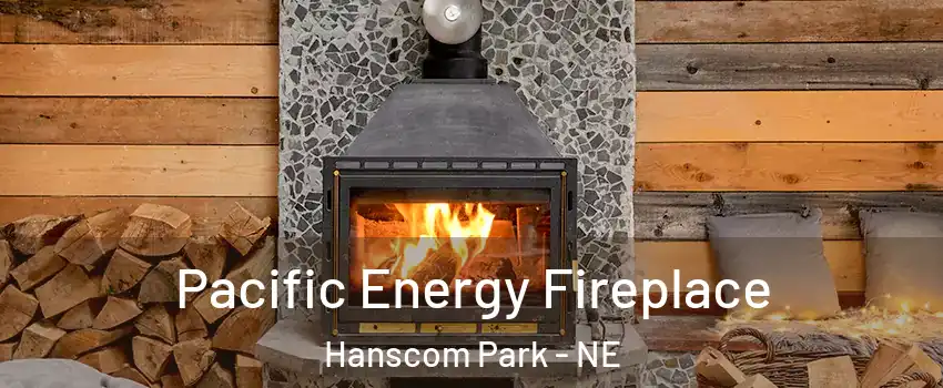 Pacific Energy Fireplace Hanscom Park - NE