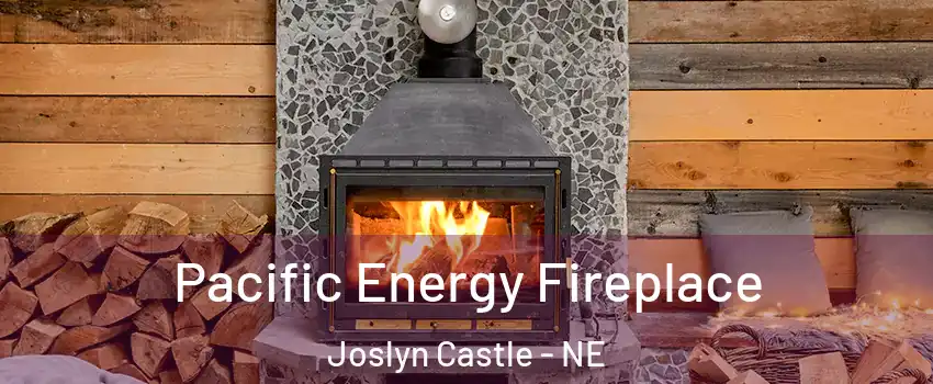 Pacific Energy Fireplace Joslyn Castle - NE