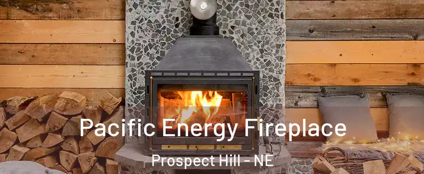 Pacific Energy Fireplace Prospect Hill - NE