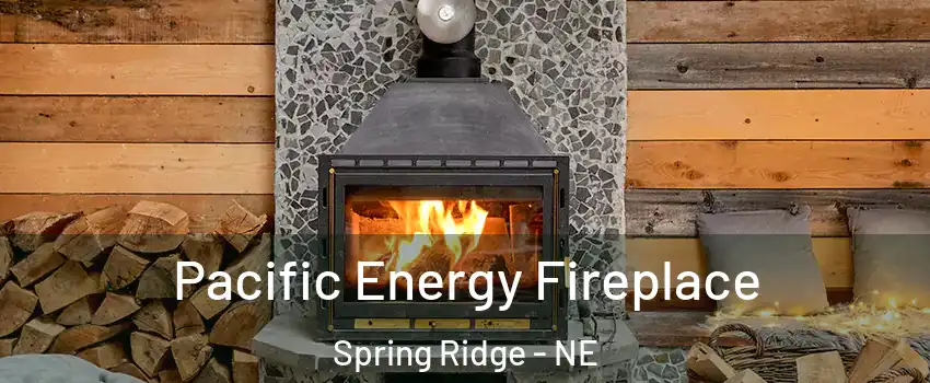 Pacific Energy Fireplace Spring Ridge - NE