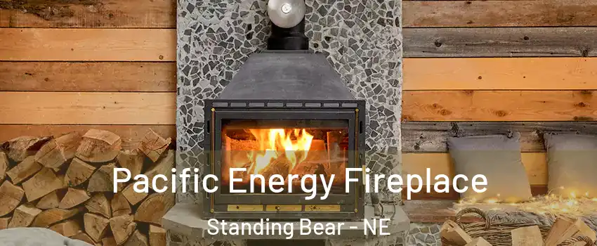 Pacific Energy Fireplace Standing Bear - NE