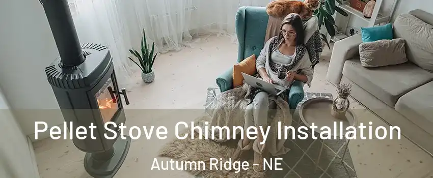 Pellet Stove Chimney Installation Autumn Ridge - NE