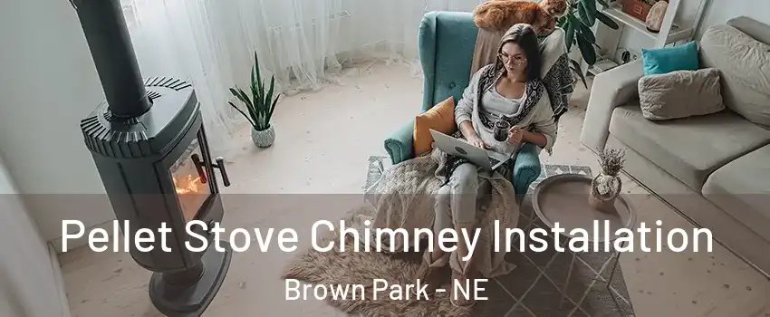 Pellet Stove Chimney Installation Brown Park - NE