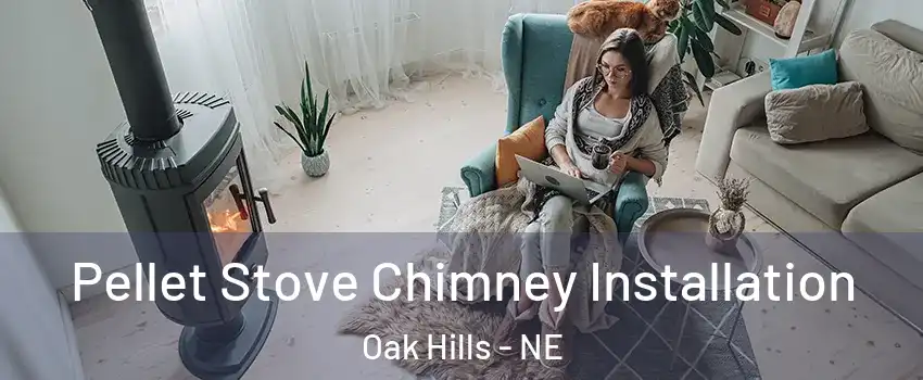 Pellet Stove Chimney Installation Oak Hills - NE