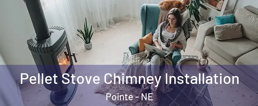 Pellet Stove Chimney Installation Pointe - NE