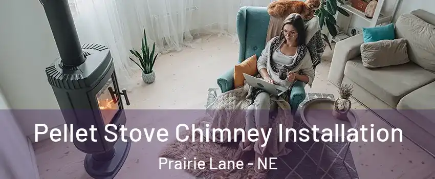 Pellet Stove Chimney Installation Prairie Lane - NE