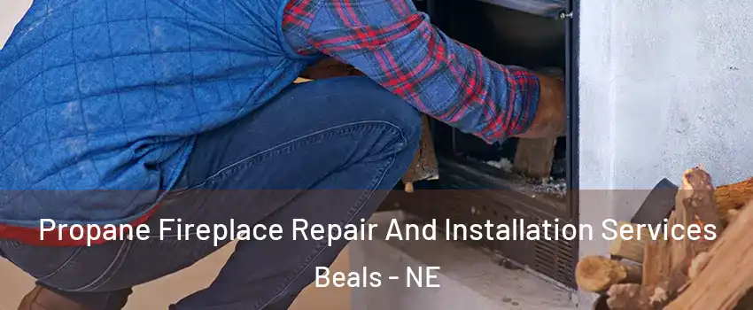 Propane Fireplace Repair And Installation Services Beals - NE