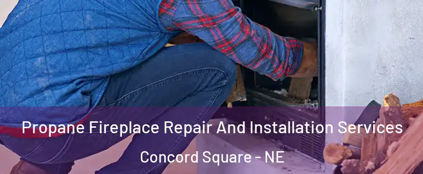 Propane Fireplace Repair And Installation Services Concord Square - NE