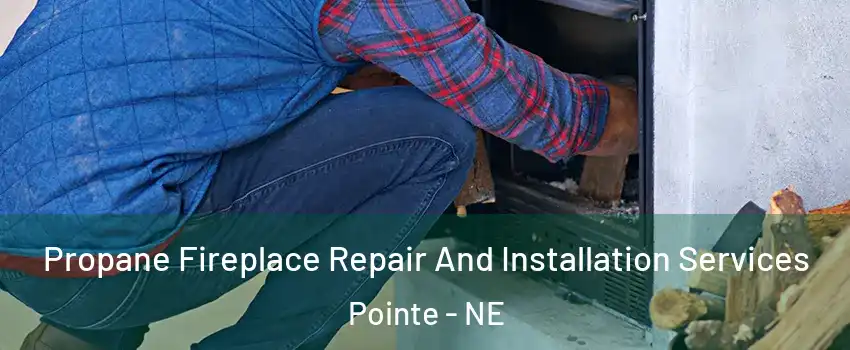 Propane Fireplace Repair And Installation Services Pointe - NE