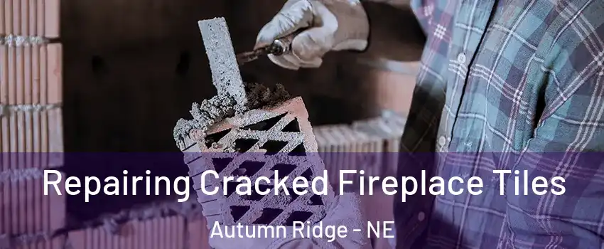 Repairing Cracked Fireplace Tiles Autumn Ridge - NE