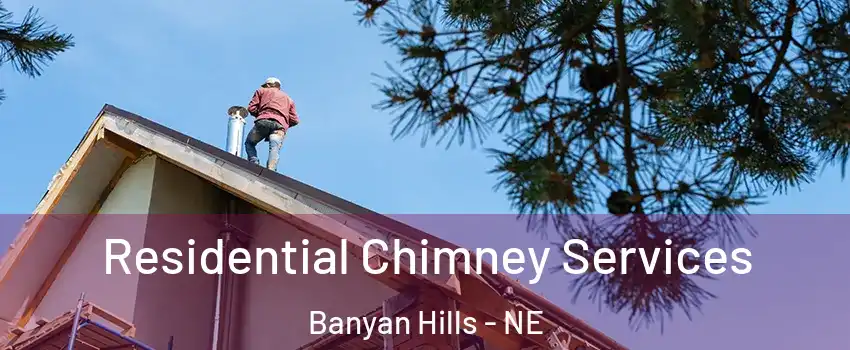 Residential Chimney Services Banyan Hills - NE