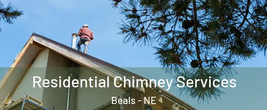 Residential Chimney Services Beals - NE