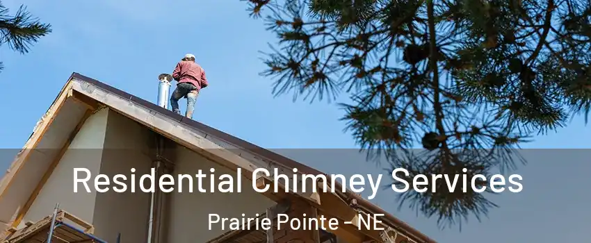 Residential Chimney Services Prairie Pointe - NE