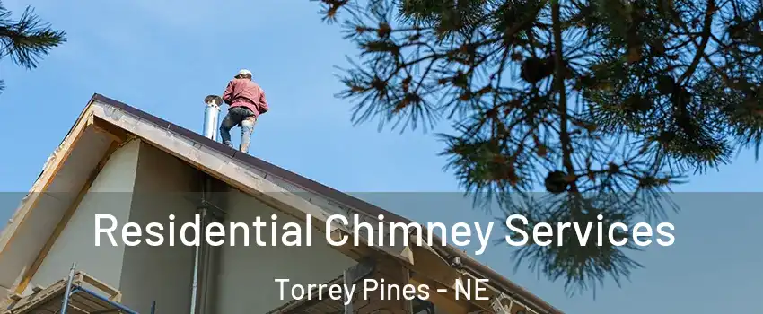 Residential Chimney Services Torrey Pines - NE