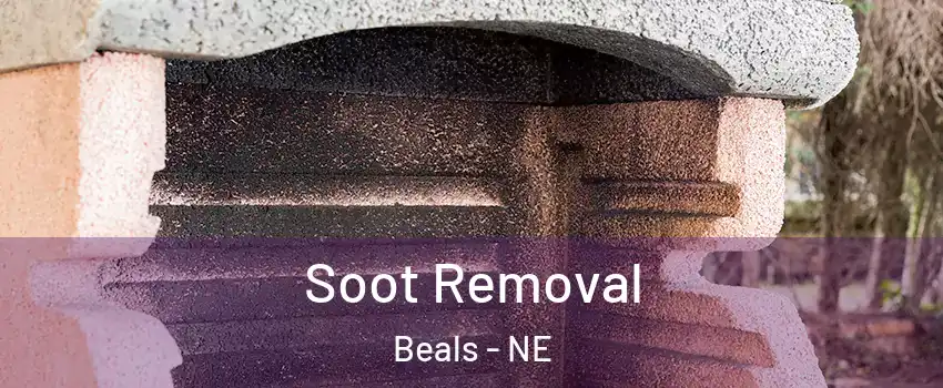 Soot Removal Beals - NE