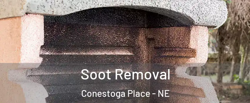 Soot Removal Conestoga Place - NE