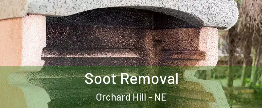 Soot Removal Orchard Hill - NE