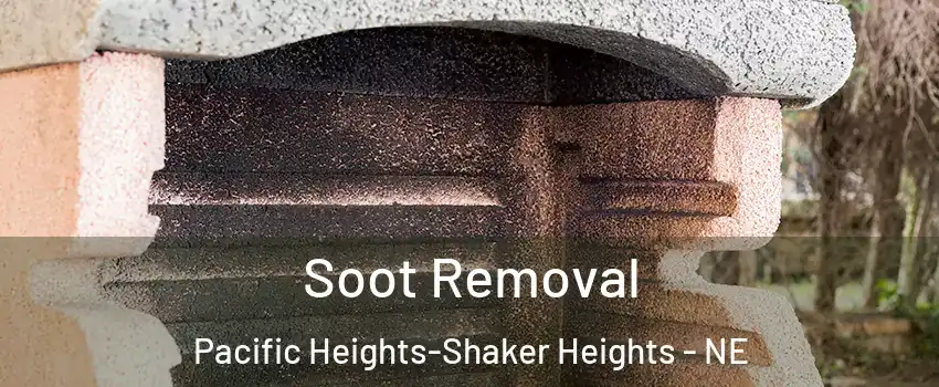 Soot Removal Pacific Heights-Shaker Heights - NE