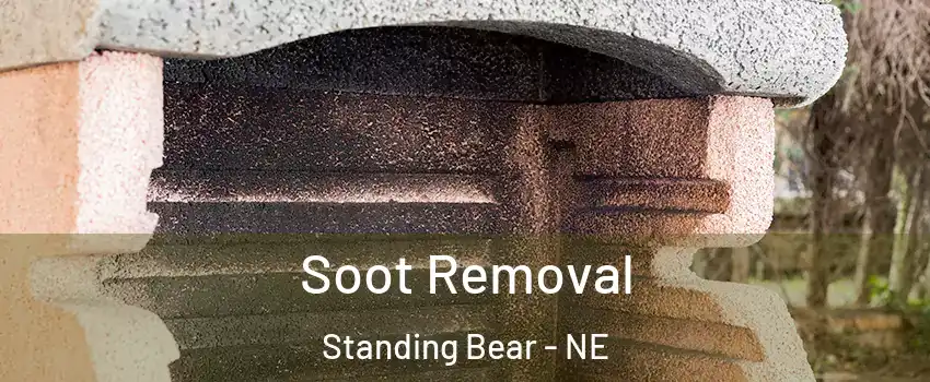 Soot Removal Standing Bear - NE