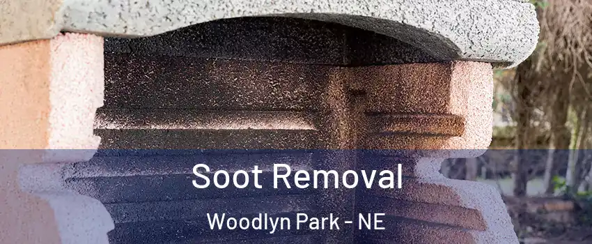 Soot Removal Woodlyn Park - NE