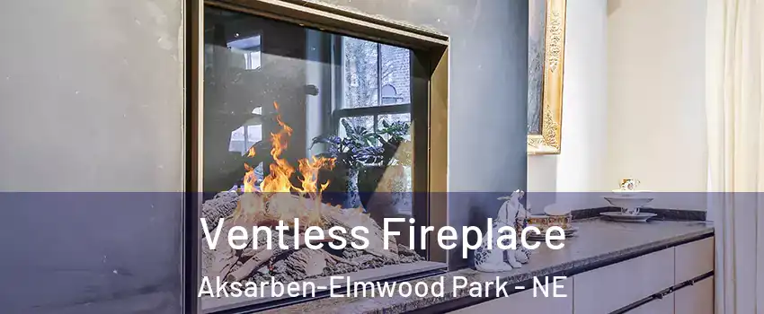 Ventless Fireplace Aksarben-Elmwood Park - NE