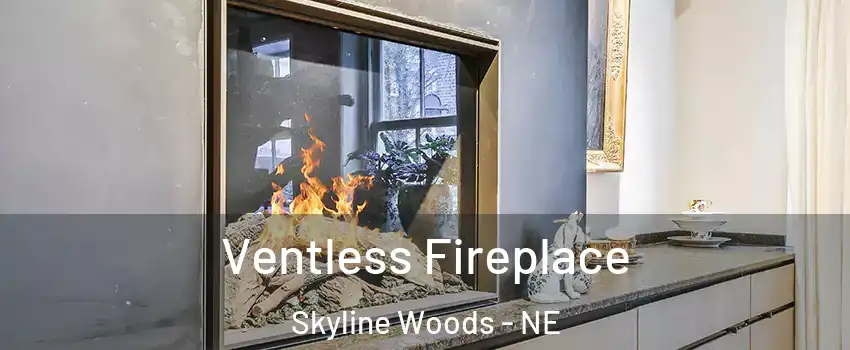 Ventless Fireplace Skyline Woods - NE