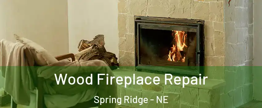 Wood Fireplace Repair Spring Ridge - NE