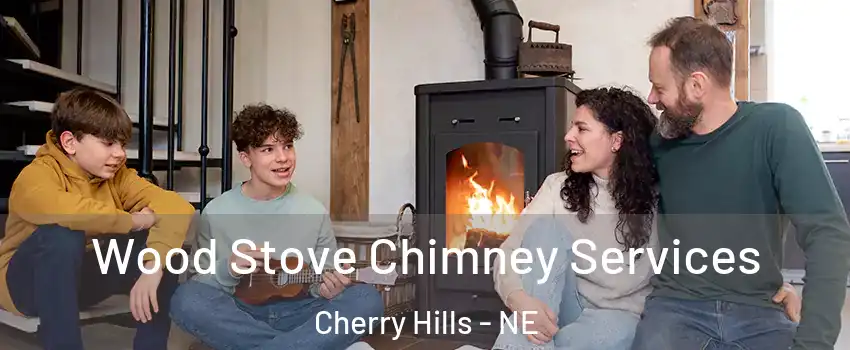 Wood Stove Chimney Services Cherry Hills - NE