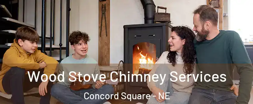 Wood Stove Chimney Services Concord Square - NE