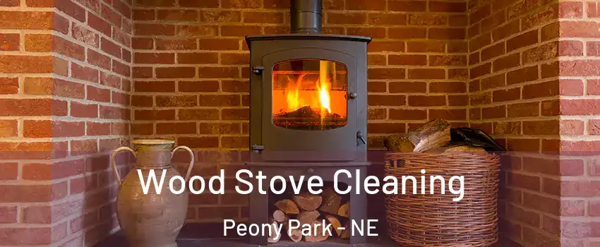 Wood Stove Cleaning Peony Park - NE